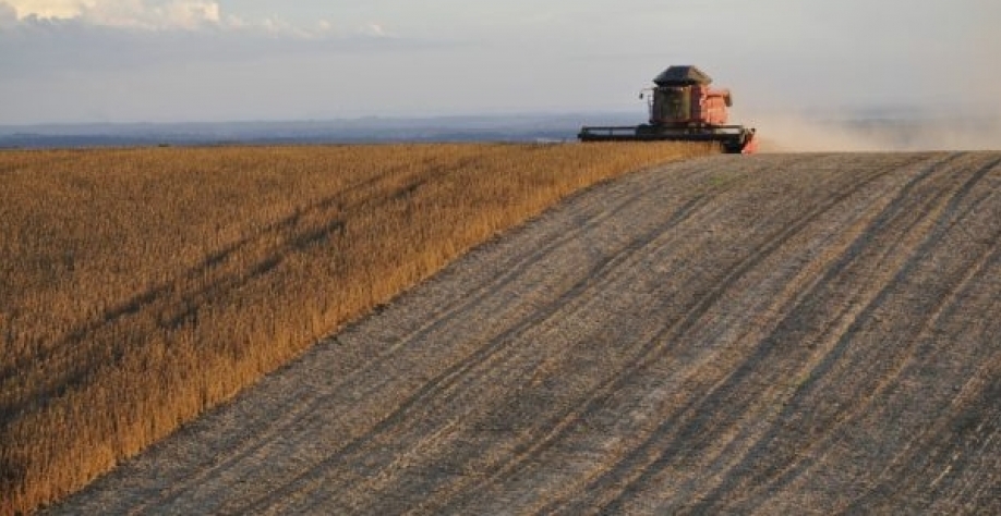 Trabalho no campo: para o deputado Pedro Lupion, a nova lei irá permitir que os agricultores tenham mais facilidade de produzir, garantindo o sustento de suas famílias e desenvolvimento da economia (Foto: Pixabay)