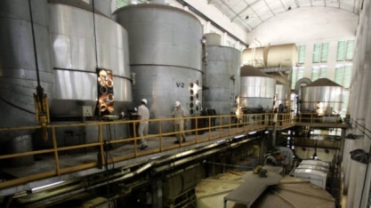 Maior trading de açúcar vê produção brasileira perto de recorde