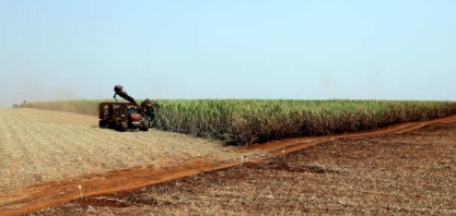 Semana abre com o açúcar e o etanol correndo atrás do petróleo desabando
