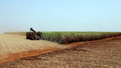 Semana abre com o açúcar e o etanol correndo atrás do petróleo desabando
