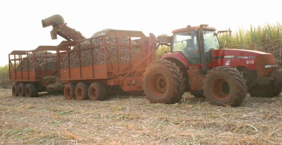 Na São Martinho áreas agrícola e industrial trabalham alinhadas