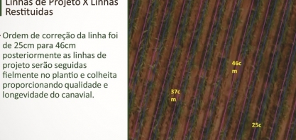 Restituição de linhas pode ser realizada em cana-planta e cana-soca