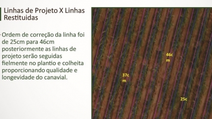 Restituição de linhas pode ser realizada em cana-planta e cana-soca