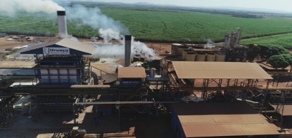Safra 2020/2021 é aberta na Usina Uruaçu
