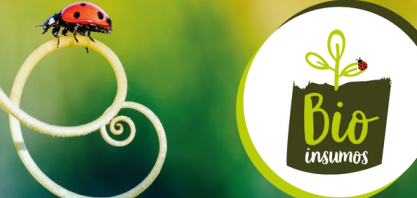 Programa Nacional de Bioinsumos é lançado e vai impulsionar uso de recursos biológicos na agropecuária