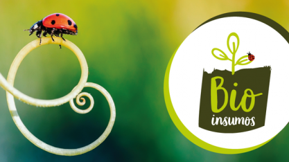 Programa Nacional de Bioinsumos é lançado e vai impulsionar uso de recursos biológicos na agropecuária