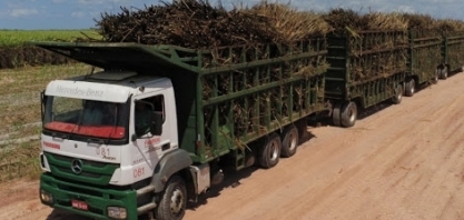 Pindorama estima crescimento na safra 20/21