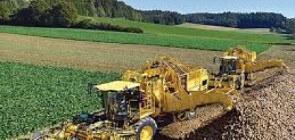 Dependente do Brasil, indústria açucareira sofre queda por crise do petróleo