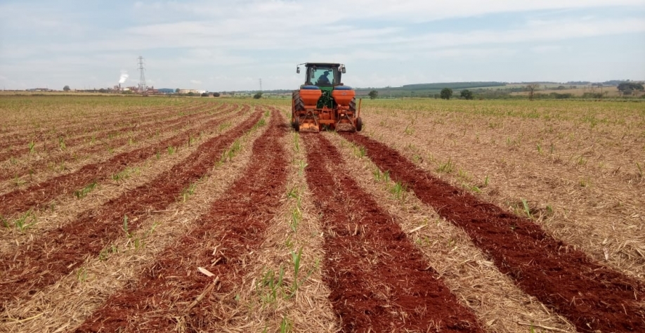 A incorporação da palha oferece vários benefícios