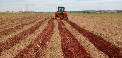 Incorporação da palha reduz perdas e evita transtornos para usinas e produtores