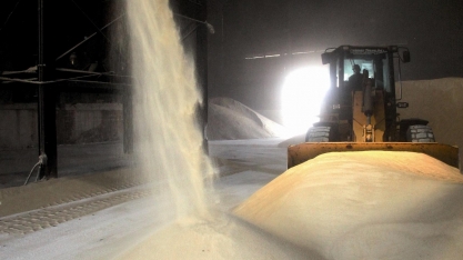 Setor sucroenergético já está de olho na exportação de açúcar da safra 2022/23