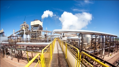 Sem crédito para estocagem, 30% das usinas de etanol “estão na UTI”, avalia Haroldo Torres (Pecege)