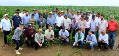 AL: IBGE prevê aumento de 10,6% na safra de cereais, leguminosas e oleaginosas