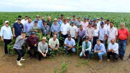 AL: IBGE prevê aumento de 10,6% na safra de cereais, leguminosas e oleaginosas