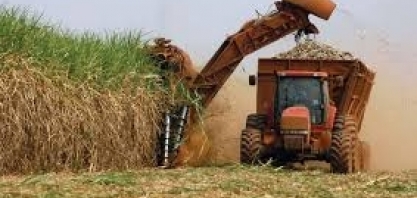 CIDE – A intervenção que Bolsonaro não quer entender