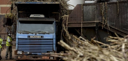 Sindaçúcar-AL: safra 19/20 segue com 16,8 mi de toneladas de cana processadas