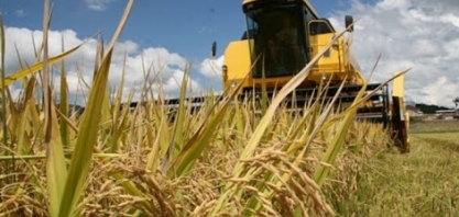 Conab: Produção de grãos na safra 2019/20 deve ser 250,87 mi/t (+8,8 mi de t ante 2018/19)