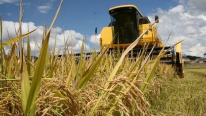 Conab: Produção de grãos na safra 2019/20 deve ser 250,87 mi/t (+8,8 mi de t ante 2018/19)