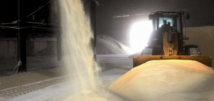 Programa Vive realiza a rastreabilidade da cadeia produtiva de açúcar