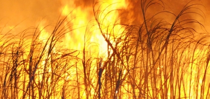 Outono sem chuva antecipa temporada de incêndios nos canaviais