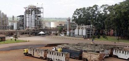 Usinas do centro-sul aumentam produção de açúcar em 55,8% na 1ª quinzena de maio