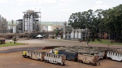 Usinas do centro-sul aumentam produção de açúcar em 55,8% na 1ª quinzena de maio