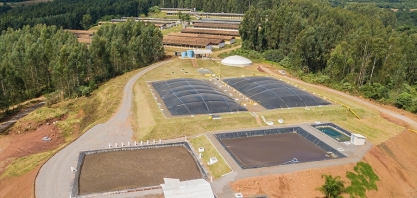 Tecnologia gera energia, fertilizante e água a partir de dejetos suínos