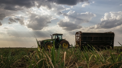 Atvos mantém produtividade na safra 2019/2020