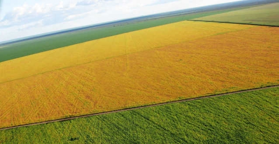 Dois lados: lucro disparou, mas empresa encerra trimestre com queima de caixa (Imagem: Divulgação/Brasil Agro)