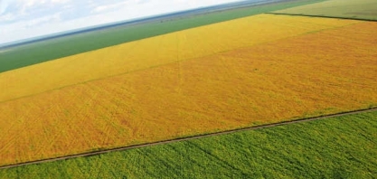 Lucro da Brasil Agro dispara 523%, para R$ 24,6 milhões, no seu terceiro trimestre