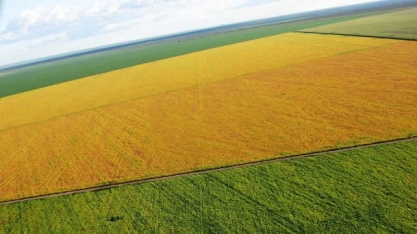 Lucro da Brasil Agro dispara 523%, para R$ 24,6 milhões, no seu terceiro trimestre