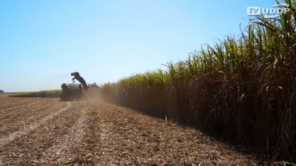 Vendas de máquinas agrícolas desabaram no país em abril
