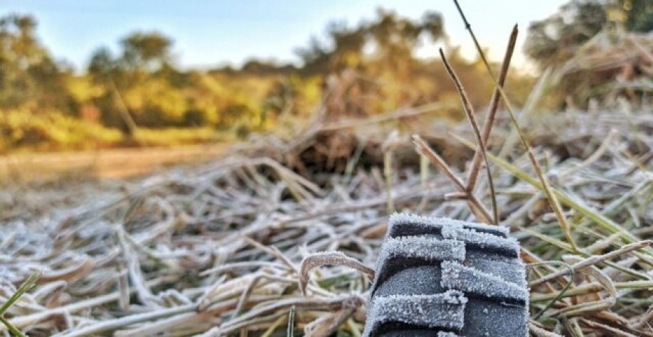 Foto: Twitter/ Reprodução