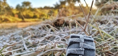 Brasil registra geada pelo 4º dia seguido; feijão, hortaliças e cana são afetados