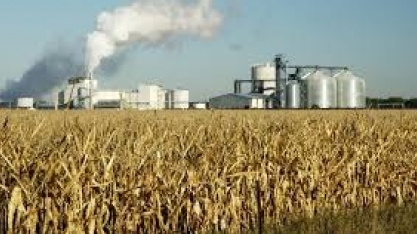 Produção de etanol nos EUA cresce 9,2% na semana