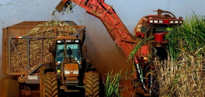 Raízen vê mix de cana em 55% para açúcar 2020/21 e boa produtividade