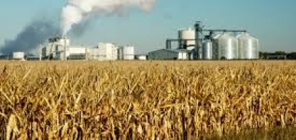 Produção de etanol dos EUA cresce 7,45% na semana, para 663 mil barris/dia