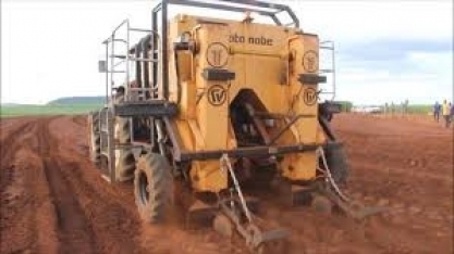 CanaOnline acompanha plantio de Emerald, as sementes artificiais de cana desenvolvidas pela Syngenta