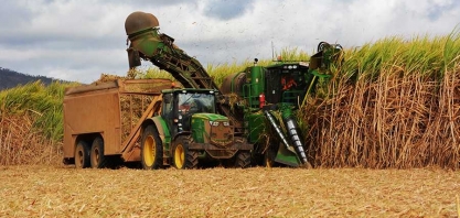 OMC só deverá decidir conflito do açúcar no ano que vem