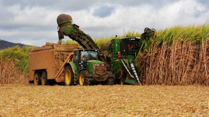 OMC só deverá decidir conflito do açúcar no ano que vem