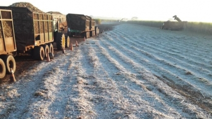 Previsão de geadas em Mato Grosso do Sul em junho