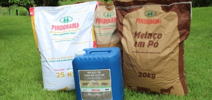 Cooperativa Pindorama lança melaço em pó