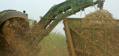 Safra da cana segue voltada ao açúcar e mostra novo aumento do etanol de milho