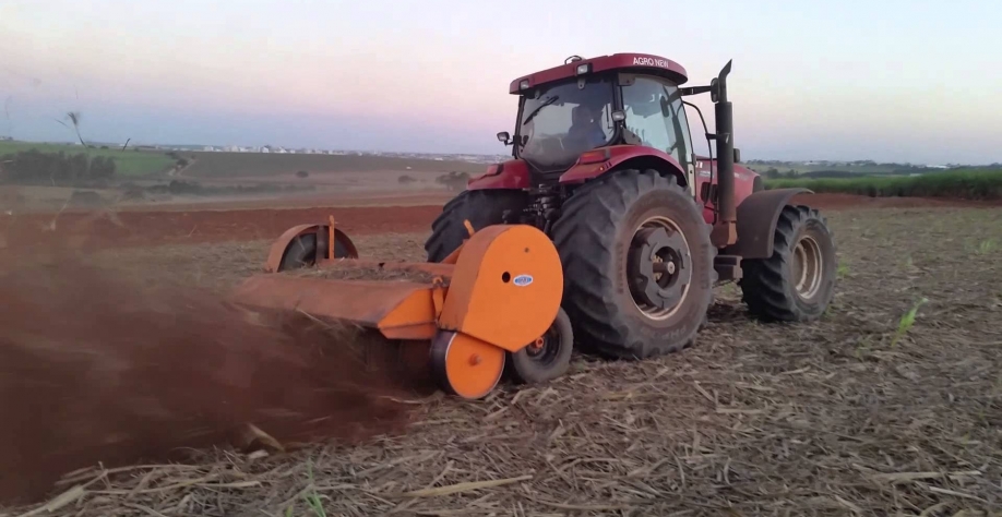 Áreas com mais de 30% de tocos atacados devem ir para a reforma imediatamente. Para isso, o ideal é utilizar um eliminador mecânico de soqueiras. Foto: Arquivo CanaOnline
