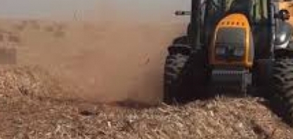 Embrapa e CTC criam ´coquetel de enzimas´