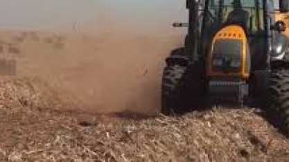 Embrapa e CTC criam ´coquetel de enzimas´