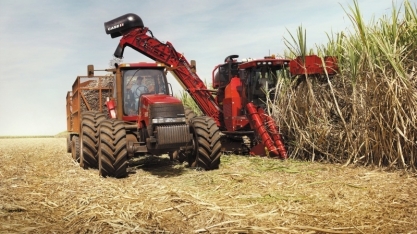Os cuidados para a ideal colheita de cana