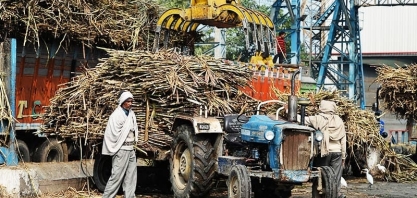 Índia: produção de açúcar cai 18,8% de outubro até 15 de maio, diz Isma