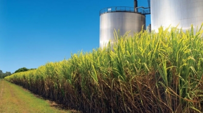 Etanol: 25% das usinas de cana do Brasil podem fechar as portas