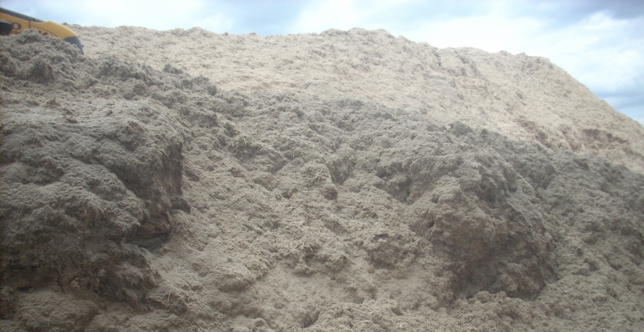 A biomassa da cana de janeiro a abril deste ano foi de 3.030 GWh, representando 65% da geração pela biomassa à rede no período